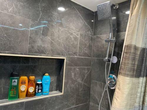 Newly Renovated Bsmt Apartment With Free Parking