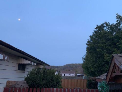 Newly Renovated Bsmt Apartment With Free Parking