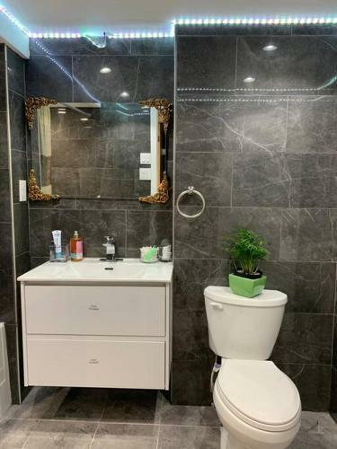 Newly Renovated Bsmt Apartment With Free Parking