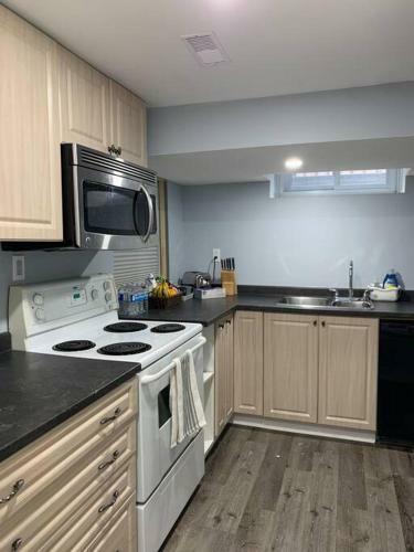 Newly Renovated Bsmt Apartment With Free Parking