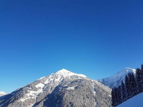 Authentic Apartment In St Gallenkirch With Sauna