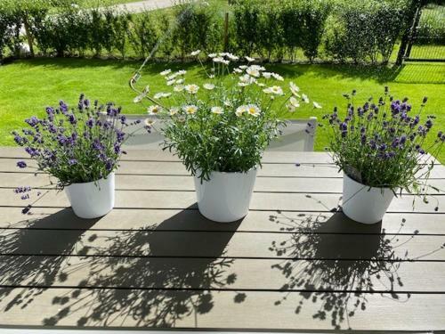Luxury Apartment. Garden & Terrace. Free Parking.