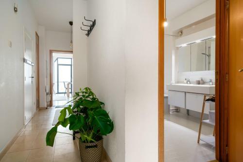 Apartamento Shs Homes, 3 Bedroom, Kitchen, Wifi, Workspace, Coffee, Central
