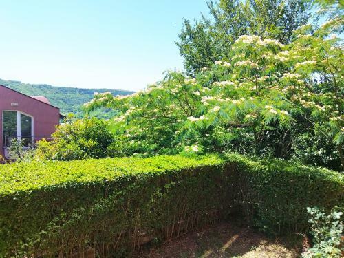 Apartamento Green, Quiet And Beautiful 1
