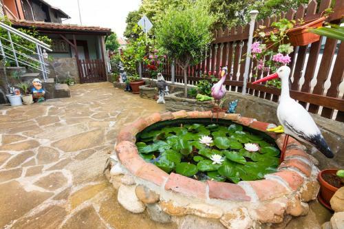 Hostal Guesthouse Sunny Dream