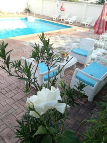 Apartamento Studio N