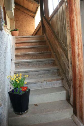 Apartment Chalet Bifigen