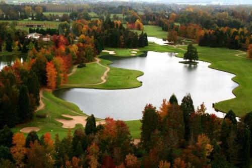 Le Gingko - Hotel Du Golf Parc Robert Hersant