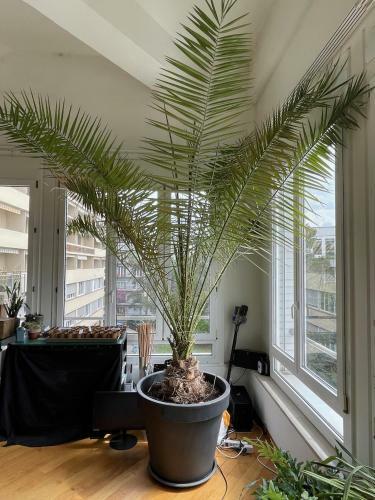 Apartamento Jungle Loft In Lausanne Centre