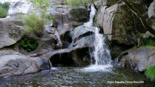 Ba�os de Bosque Suites Vegetales/cascadas 10 Pers.