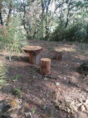 Ba�os de Bosque Suites Vegetales/cascadas 10 Pers.