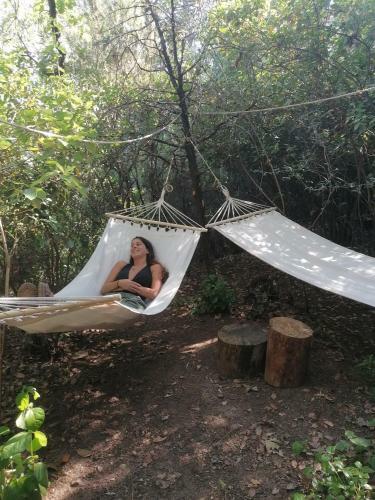 Ba�os de Bosque Suites Vegetales/cascadas 10 Pers.