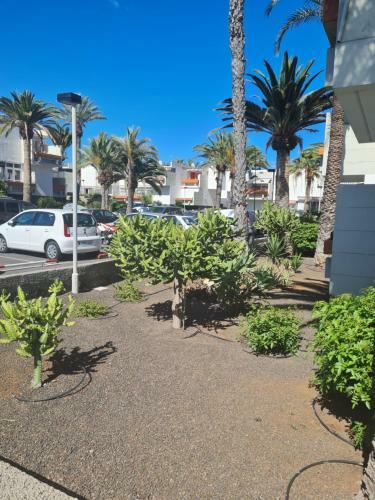 Frontera- Primavera Costa Del Silencio Olgas Apartment