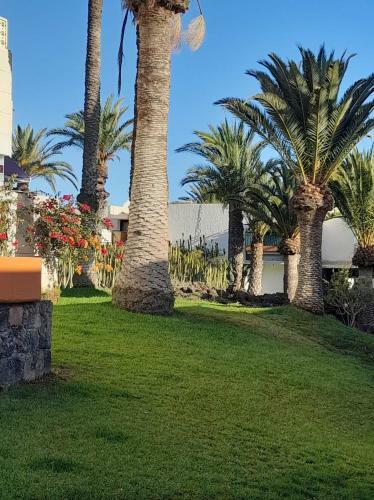 Frontera- Primavera Costa Del Silencio Olgas Apartment