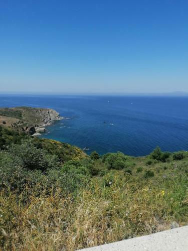 Apartamento Charmant Appartement de Vacances Au C?ur D'argeles