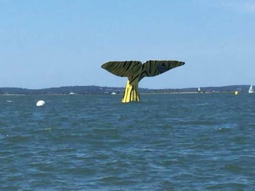 Rayon De Soleil Arcachon