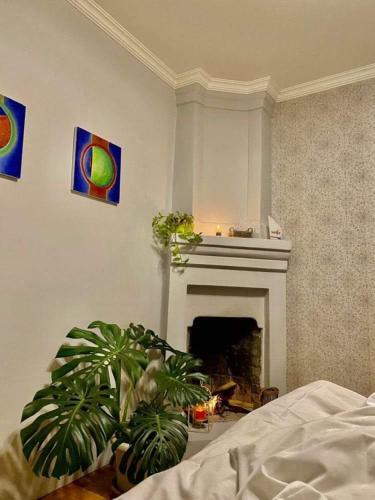 Bed & Breakfast Plantacia