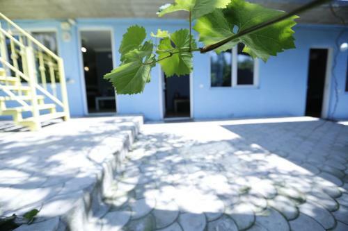 Hostal Lilia Guesthouse