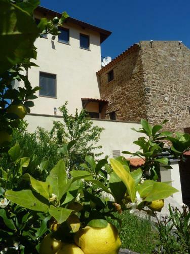 La Molinella