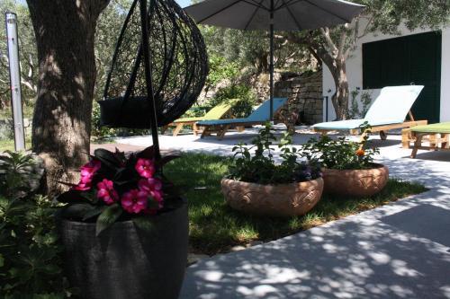 Pool Apartment Cvita Du?e