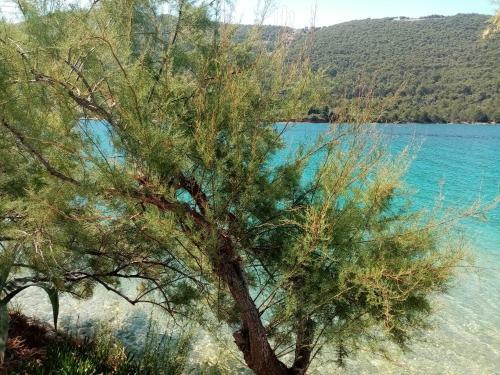 Apartamento Kod Jakova