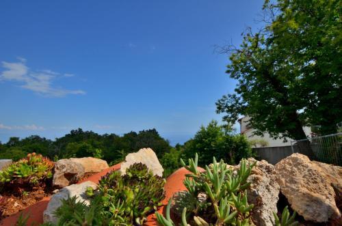 Apartments Villa Gara