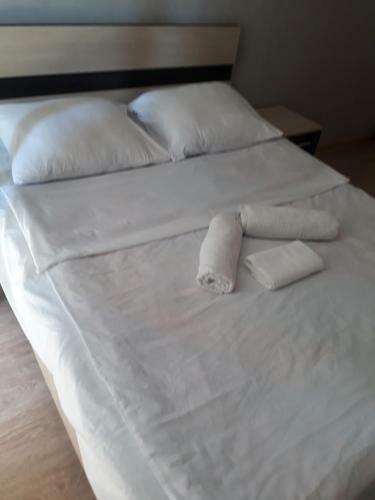 Apartament Edvard