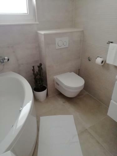 Apartamento Albatros