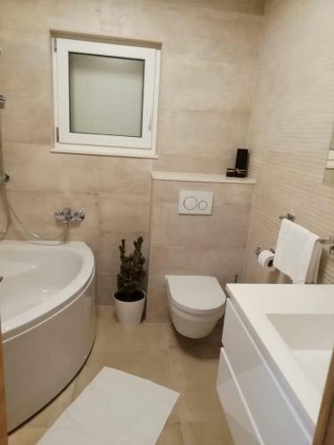 Apartamento Albatros