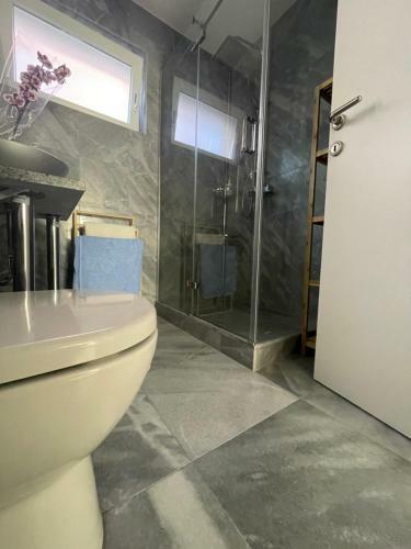 Vila Regina Apartman Rex