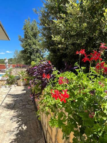 Apartman Gorana With Swimming Pool