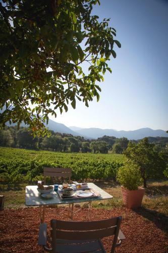Bed & Breakfast Domaine De Provensol