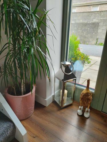 Modern, Detached House,close To Races & City Centre