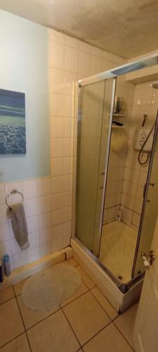 Room With Saloon And Kitchen