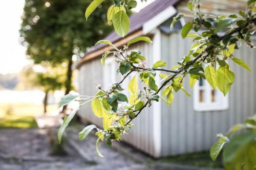 Apartamento M?lynas Namelis