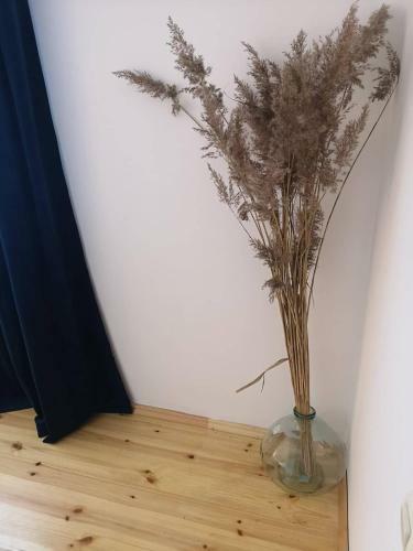 Apartamento Pu?ynas Ir J?ra