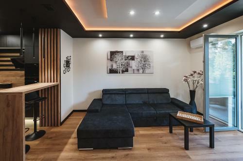 Apartament Le?ny-cedzyna No62