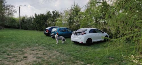 Agroturismo Go?ciniec Sz�stak