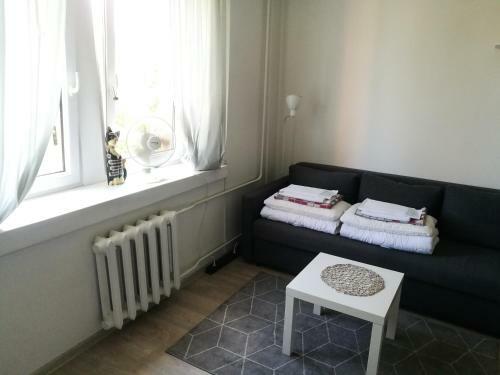 Vilnius Town Apartmen