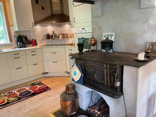 Holiday Home Grisslehamn XI