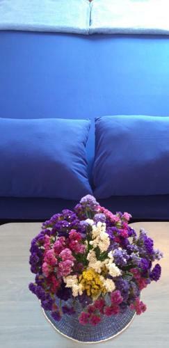 Apartamento Flamingo