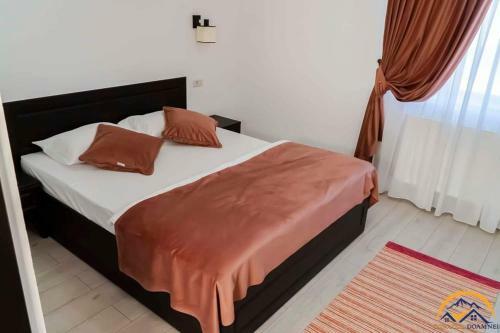 Hostal Conacul Doamnei
