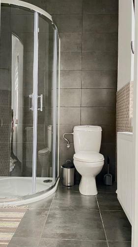 Apartament Linistit / Cozy Apartment