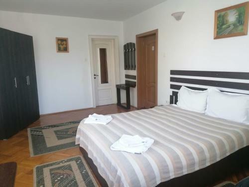 Hostal Pensiunea Cezara
