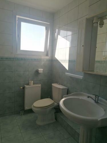 Hostal Pensiunea Cezara