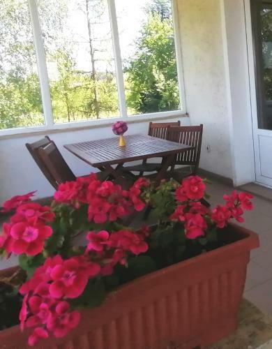 Hostal Pensiunea Cezara