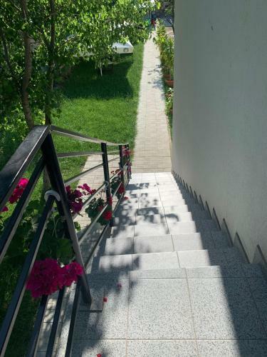 Hostal Pensiunea Steluta De Mare