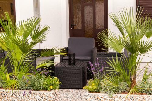 Apartments Milok