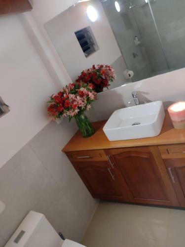 Mini Casa - UNA Experiencia Que No Puedes Dejar Pasar