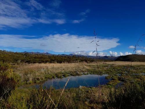 Finca Agroturistica La Reconexi�n